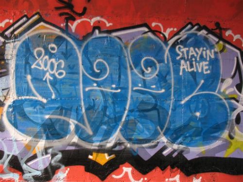 SMOY 2006
